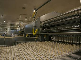 冰淇淋工厂大探秘：“雪人”的“脸”是怎么做出来的？(10)