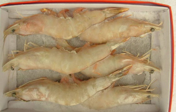 冷冻食品批发行业好做吗?一般利润有多少?(图1) 冷冻食品批发行业好做吗?一般利润有多少?(1)