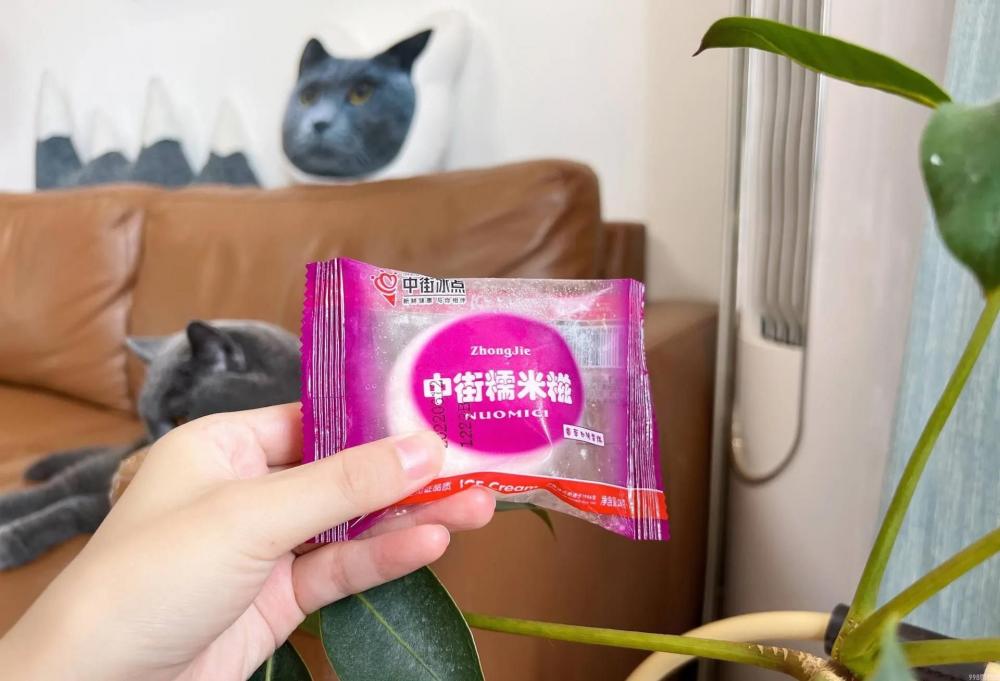 伊利牧场雪糕好吃不（10款好吃不贵的雪糕推荐）(7)