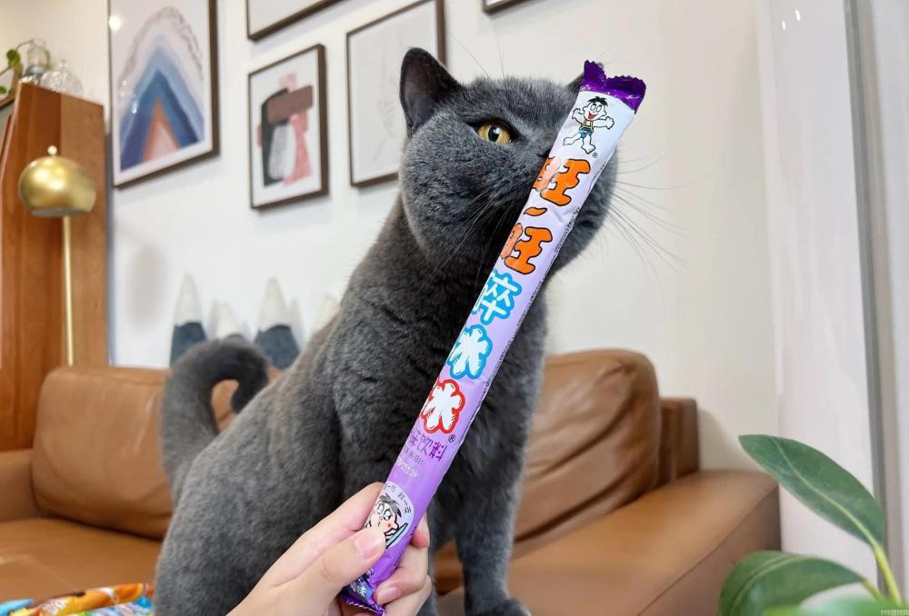 伊利牧场雪糕好吃不（10款好吃不贵的雪糕推荐）(11)