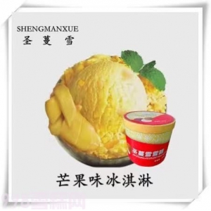 圣蔓雪餐饮桶装雪糕芒果味冰淇淋4kg 8