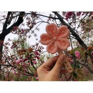 网红雪糕越贵越难吃，为什么现在雪糕这么贵